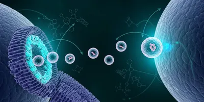 Exosomes benefits