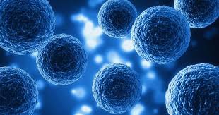exosomes vs prp vs gfc